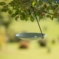 Hanging Bird Bowl Set - Crocus Green -Plants Shop pr2000031470 card3 lg