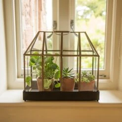 House Terrarium -Plants Shop pr2000031475 card3 lg
