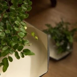 Enamelled Geo Metal Plant Tray -Plants Shop pr2000031479 card3 lg