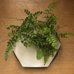 Enamelled Geo Metal Plant Tray -Plants Shop pr2000031479 card4 lg