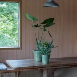 Cast Aluminium Pot Cover With Verdigris Patina -Plants Shop pr2000031480 card5 lg