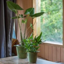 Cast Aluminium Pot Cover With Verdigris Patina -Plants Shop pr2000031480 card6 lg