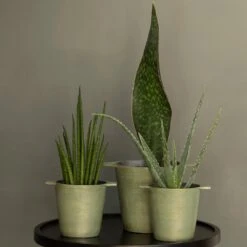 Cast Aluminium Pot Cover With Verdigris Patina -Plants Shop pr2000031480 card8 lg