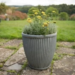 Tall Antique Zinc Dolly Pot -Plants Shop pr2000031491 card3 lg
