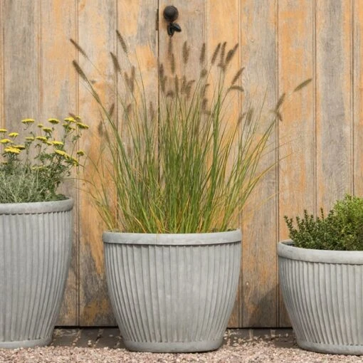 Zinc Dolly Pot 6 Zinc Dolly Pot -Plants Shop pr2000031492