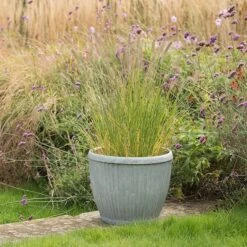 Zinc Dolly Pot 10 Zinc Dolly Pot -Plants Shop pr2000031492 card3 lg