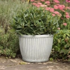 Zinc Dolly Pot 11 Zinc Dolly Pot -Plants Shop pr2000031492 card4 lg