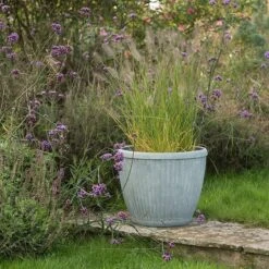 Zinc Dolly Pot 13 Zinc Dolly Pot -Plants Shop pr2000031492 card6 lg