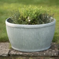 Zinc Dolly Bowl 7 Zinc Dolly Bowl -Plants Shop pr2000031493 card3 lg