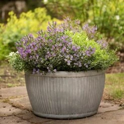 Zinc Dolly Bowl 9 Zinc Dolly Bowl -Plants Shop pr2000031493 card5 lg