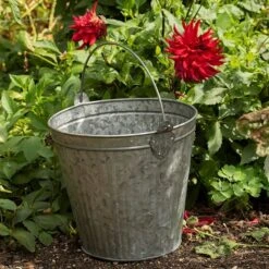 Galvanised Bucket 9 Galvanised Bucket -Plants Shop pr2000031498 card4 lg