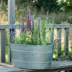 Galvanised Trough For Plants Or Drinks 12 Galvanised Trough For Plants Or Drinks -Plants Shop pr2000031501 card6 lg