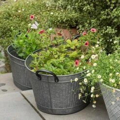 Oval Tub With Handles/drinks Cooler -Plants Shop pr2000031502 card3 lg