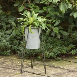 Tall Galvanised Planter With Stand -Plants Shop pr2000031504 card3 lg