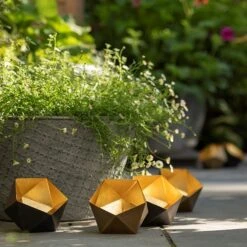 Geo Tealight Holder -Plants Shop pr2000031511 card6 lg