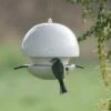Clay Seed Feeder White