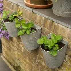Embossed Wall Planters Antique Zinc - Set Of 3 -Plants Shop pr2000032857 card4 lg