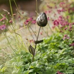 Artichoke Stake -Plants Shop pr2000033311 card3 lg