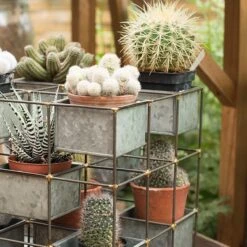 Plant Tower 10 Plant Tower -Plants Shop pr2000033922 card5 lg