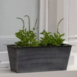 Plant Trough - Aged Zinc 11 Plant Trough - Aged Zinc -Plants Shop pr2000033930 card4 lg