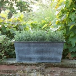 Plant Trough - Aged Zinc 12 Plant Trough - Aged Zinc -Plants Shop pr2000033930 card5 lg