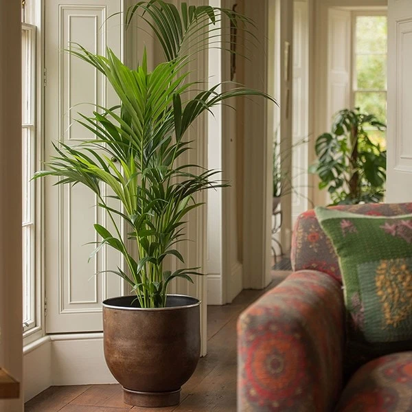 Aluminium Urb Pot - Dark Rust 2 Aluminium Urb Pot - Dark Rust - Image 2