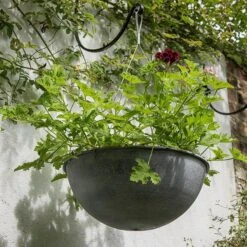 Hanging Bowl - Aged Zinc 9 Hanging Bowl - Aged Zinc -Plants Shop pr2000033957 card4 lg