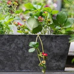 Dark Galvanised Window Trough 11 Dark Galvanised Window Trough -Plants Shop pr2000033966 card5 lg