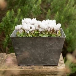 Dark Galvanised Square Planter -Plants Shop pr2000033971 card3 lg