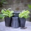 Dark Galvanised Pots - Set Of 6