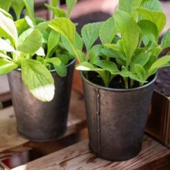 Dark Galvanised Pots - Set Of 6 -Plants Shop pr2000033979 card3 lg