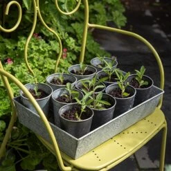Dark Galvanised Pots - Set Of 6 -Plants Shop pr2000033979 card4 lg