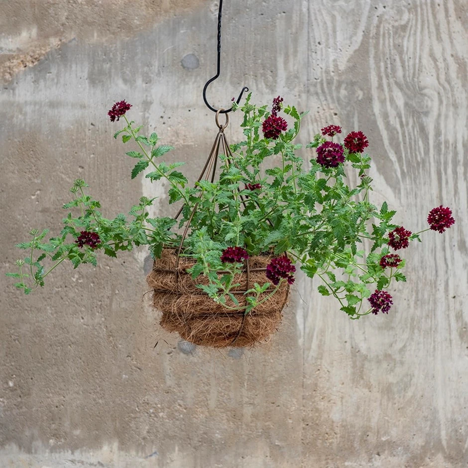 Hanging Tear Drop Basket - Wide 1 Hanging Tear Drop Basket - Wide