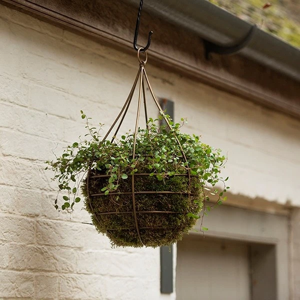 Hanging Tear Drop Basket - Wide 2 Hanging Tear Drop Basket - Wide - Image 2