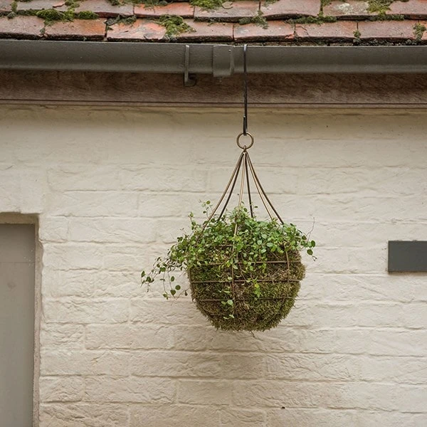 Hanging Tear Drop Basket - Wide 3 Hanging Tear Drop Basket - Wide - Image 3