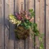 Hanging Tear Drop Basket - Slim