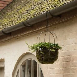 Hanging Plant Cage - Wide -Plants Shop pr2000033991 card3 lg