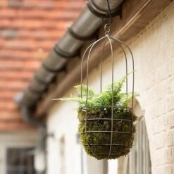 Hanging Plant Cage - Tall -Plants Shop pr2000033992 card3 lg