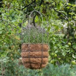 Hanging Plant Cage - Tall -Plants Shop pr2000033992 card4 lg