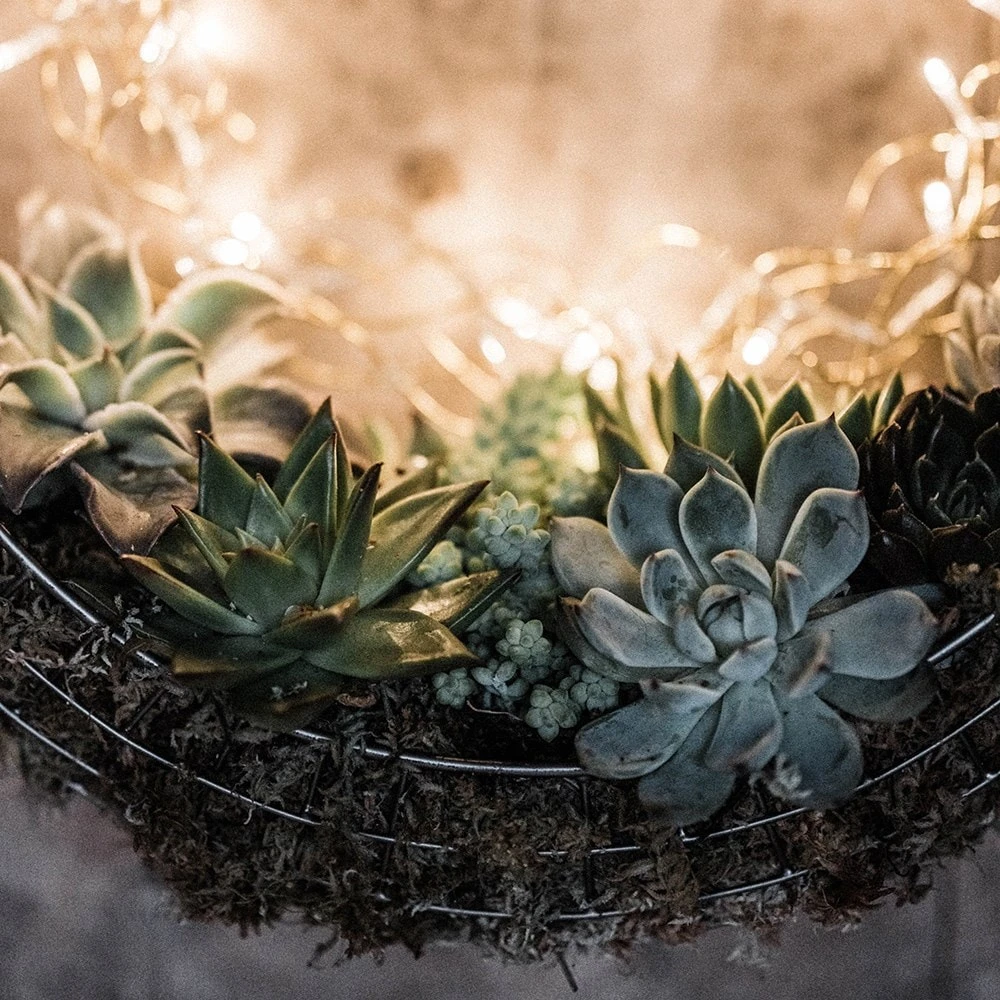 Hanging Wreath Basket 3 Hanging Wreath Basket - Image 3