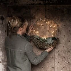 Hanging Wreath Basket 11 Hanging Wreath Basket -Plants Shop pr2000033995 card4 lg