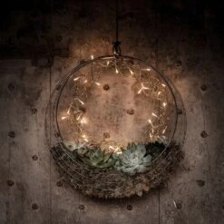 Hanging Wreath Basket 12 Hanging Wreath Basket -Plants Shop pr2000033995 card5 lg