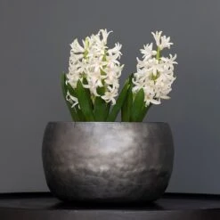 Zinc Bowls - Set Of 3 -Plants Shop pr2000033999 card3 lg