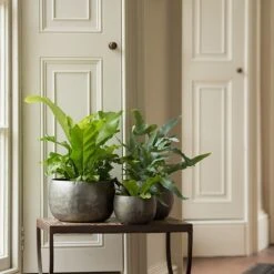 Zinc Bowls - Set Of 3 -Plants Shop pr2000033999 card6 lg