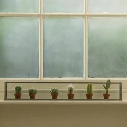 Windowsill Terrarium 5 Windowsill Terrarium -Plants Shop pr2000034004 card3 lg