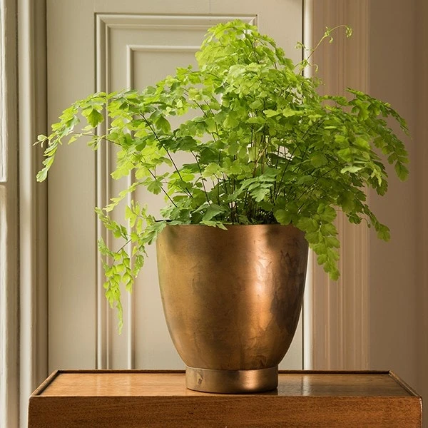 Tilting Pot - Brass 2 Tilting Pot - Brass - Image 2