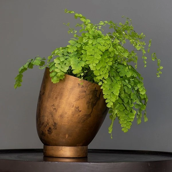 Tilting Pot - Brass 4 Tilting Pot - Brass - Image 4