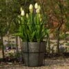 Perennial/bulb Planter With Support