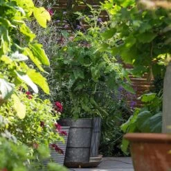 Planter With Surround Support -Plants Shop pr2000034024 card4 lg