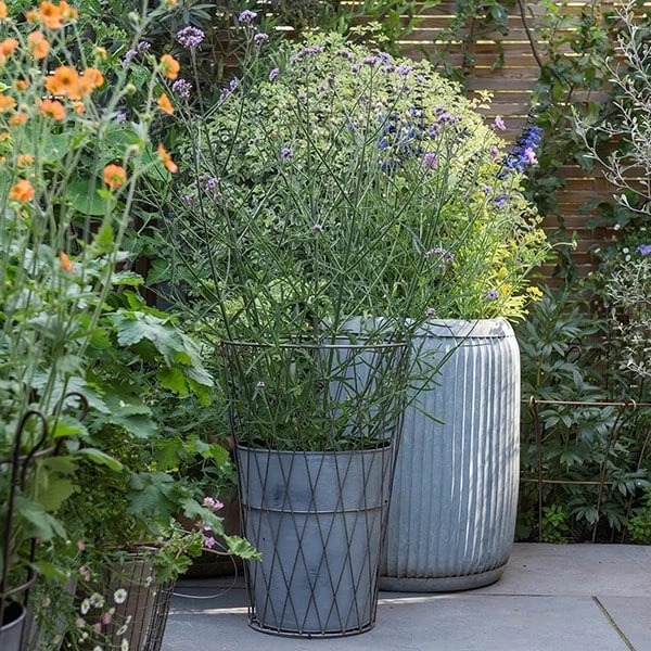 Planter In Lattice Basket Surround 2 Planter In Lattice Basket Surround - Image 2